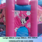 CASTELLO DI FROZEN MINNIE E PRINCIPESSE DISNEY