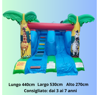 SAFARI SLIDE